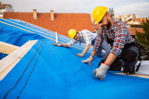 Best Roof Gutter Cleaning  in Camp Springs, MD